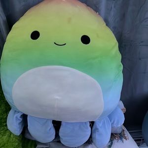 Elodi the rainbow octopus